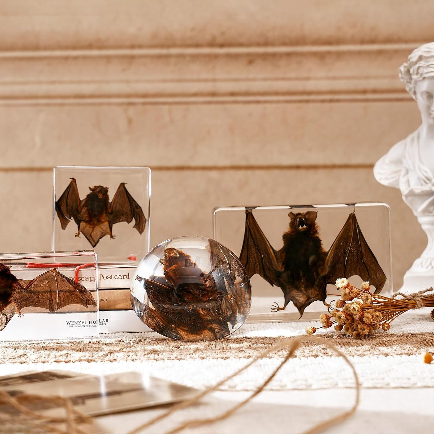 Transparent Resin Bat Taxidermy Decor