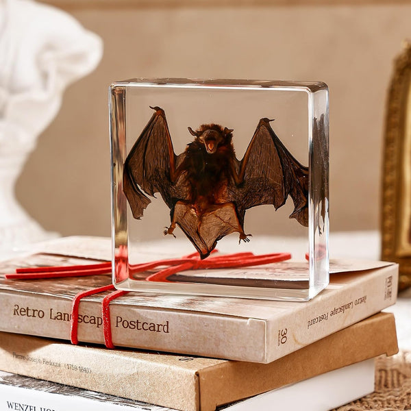 Resin Bat Oddities Decor