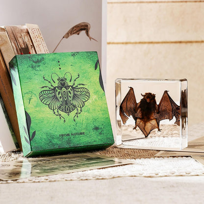 Transparent Resin Bat Taxidermy Decor