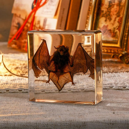 Transparent Resin Bat Taxidermy Decor