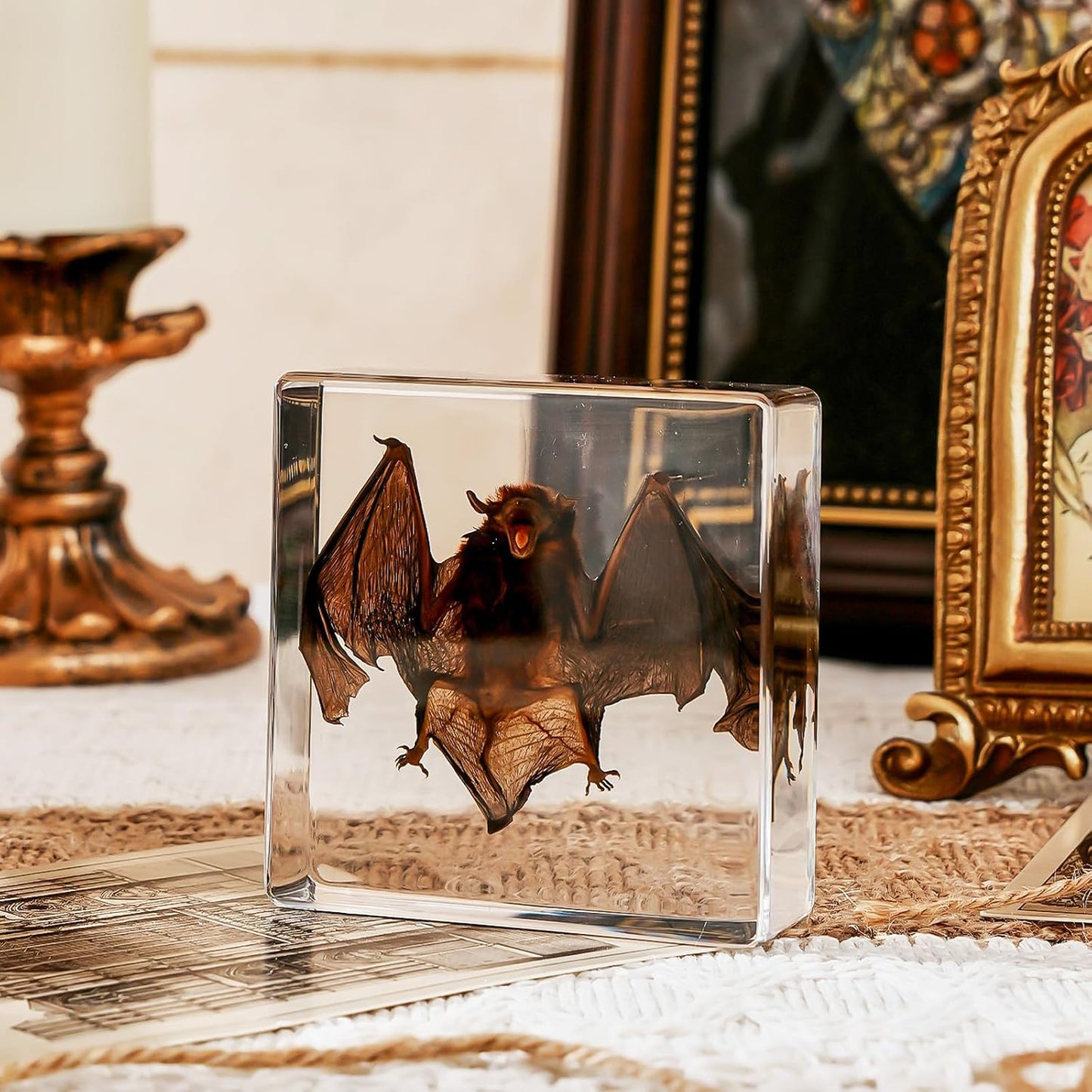 Transparent Resin Bat Taxidermy Decor