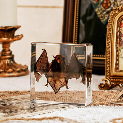 Transparent Resin Bat Taxidermy Decor